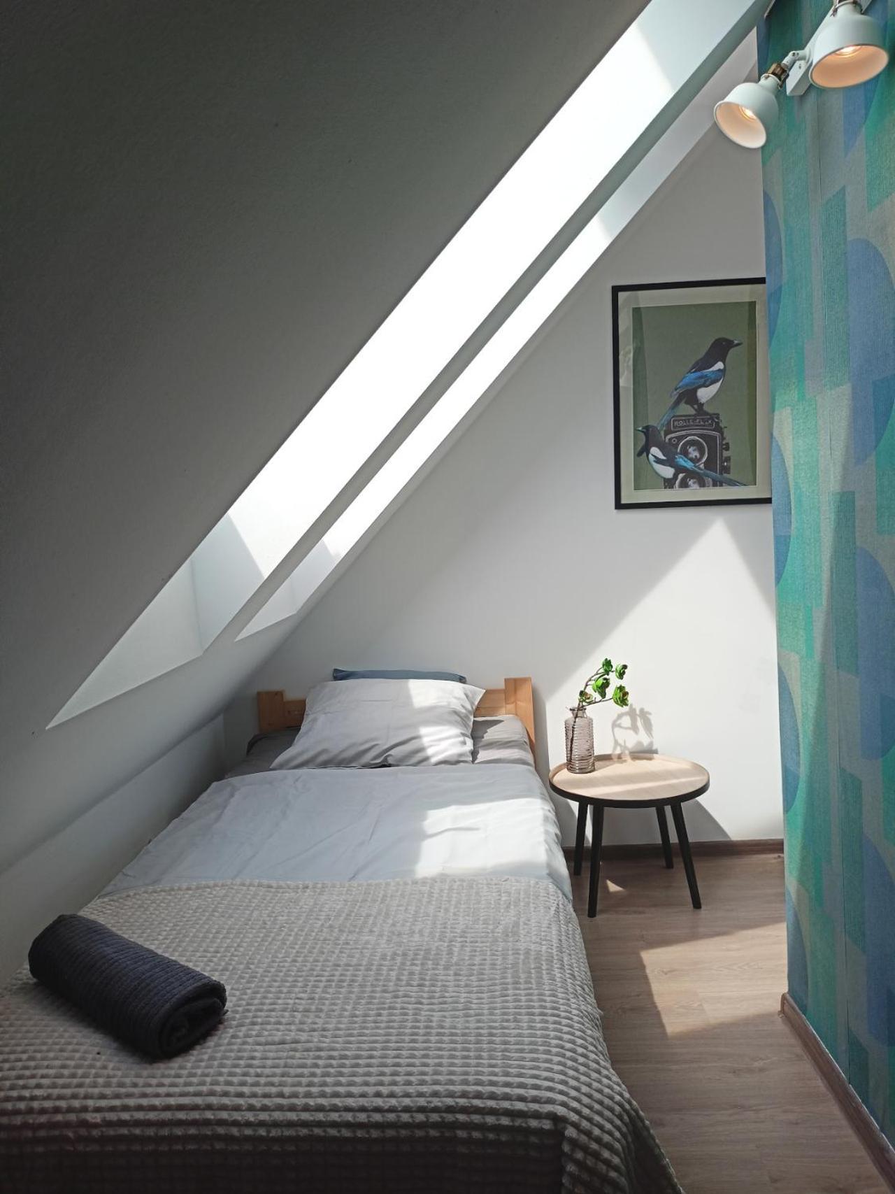 Lemuria Pokoje Hostel Chojnowska A Legnica Zewnętrze zdjęcie